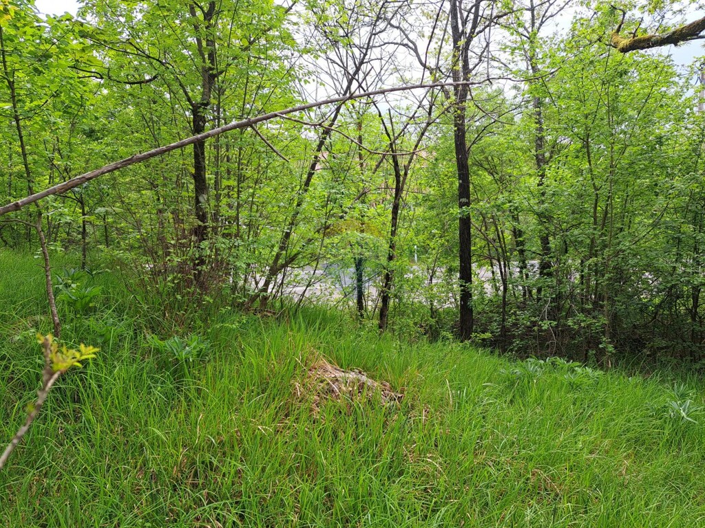 Image 5877111 - 1