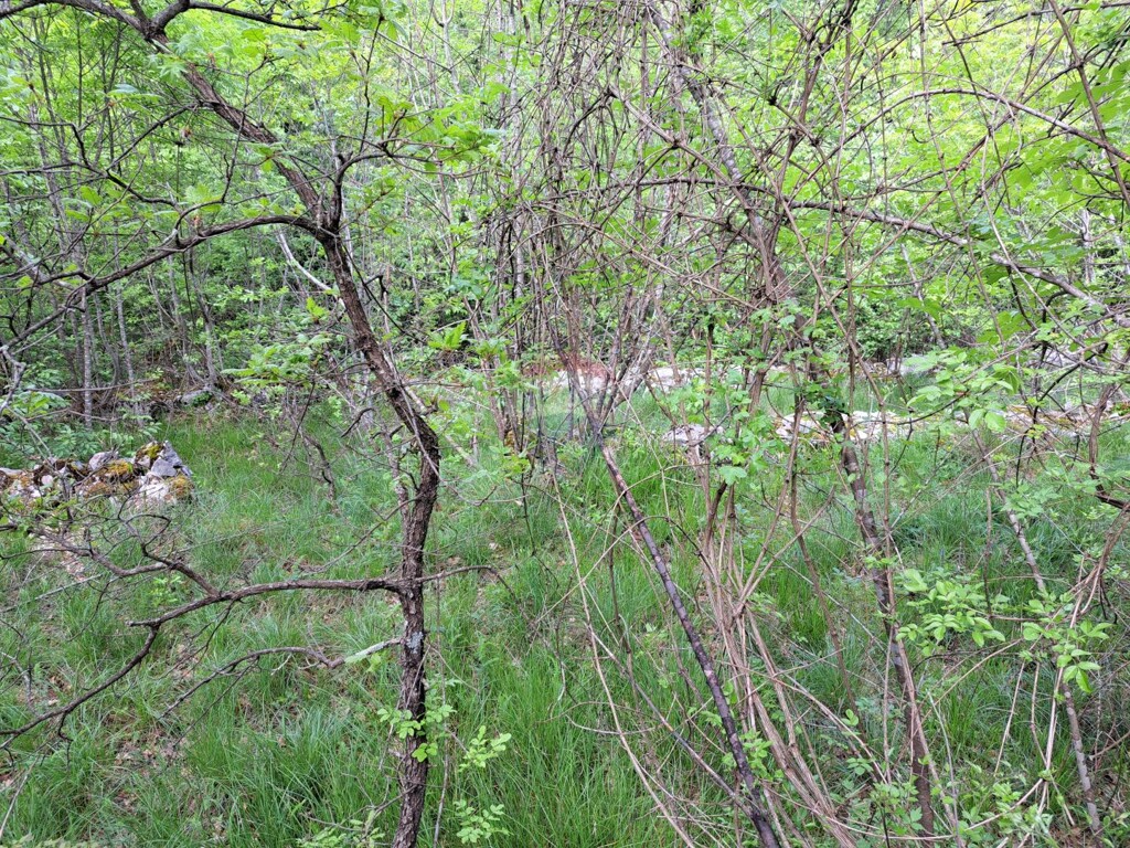 Image 5877111 - 2