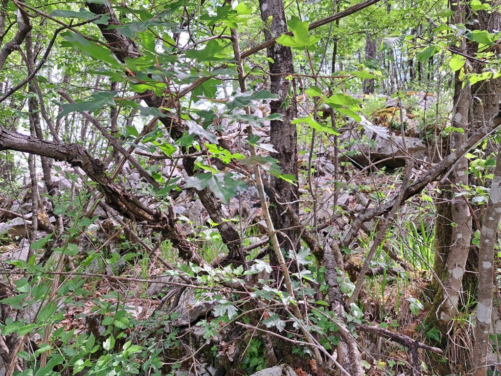 Image 5877111 - 3