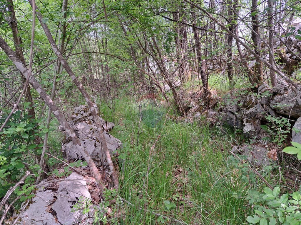 Image 5877111 - 4