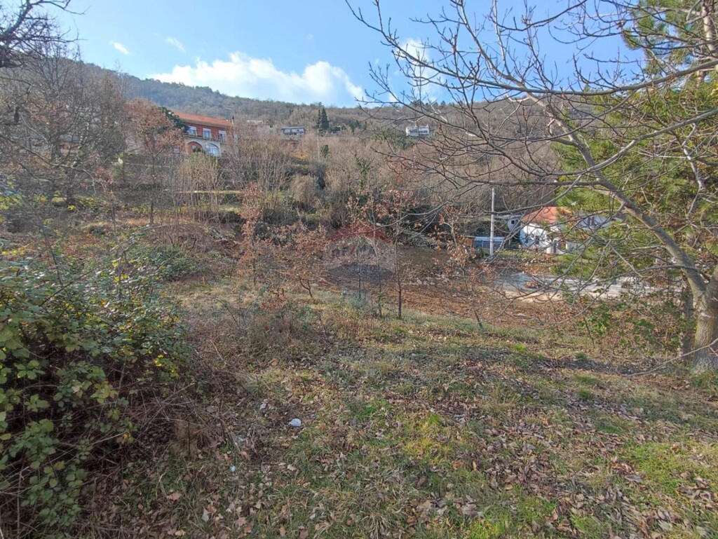 Image 5877112 - 3