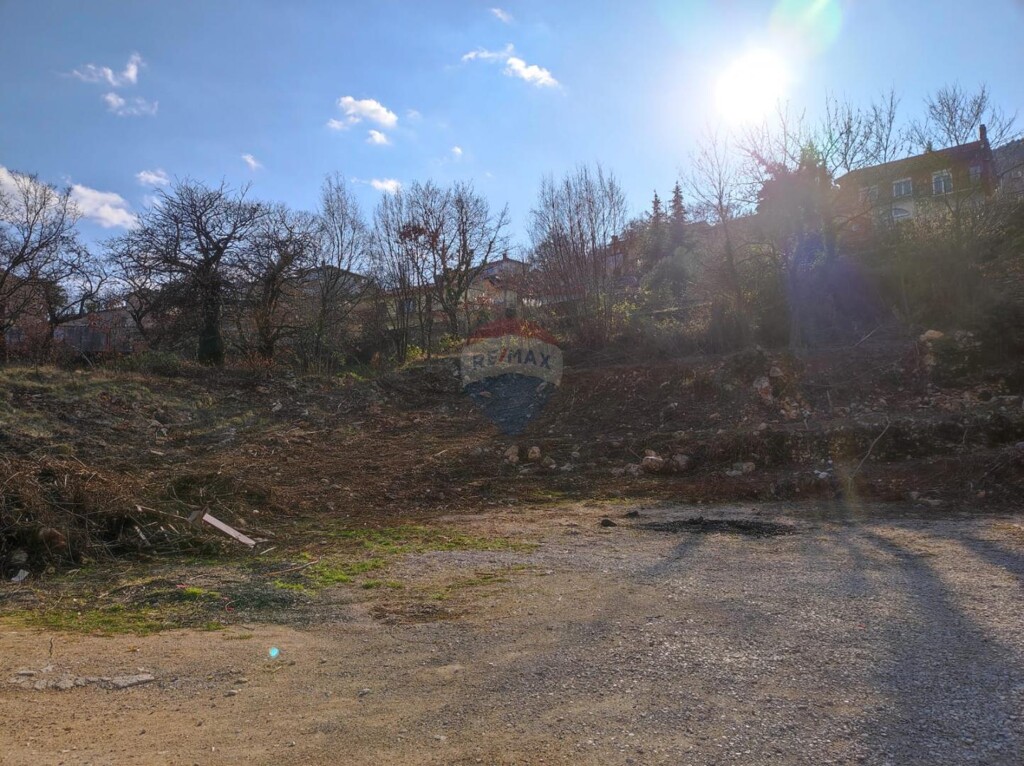 Image 5877112 - 1
