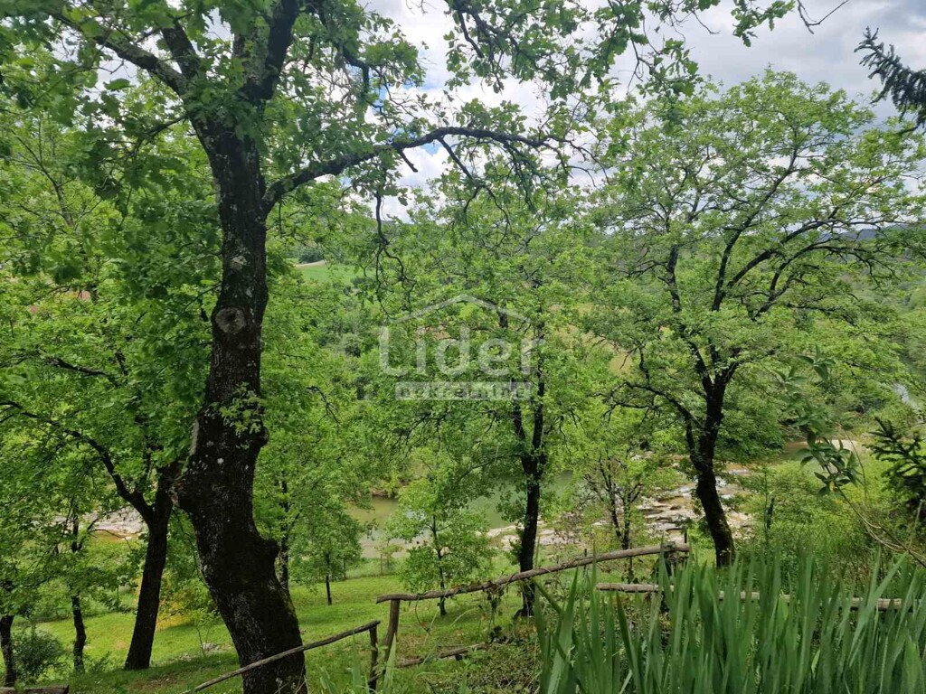 Image 5878197 - 16