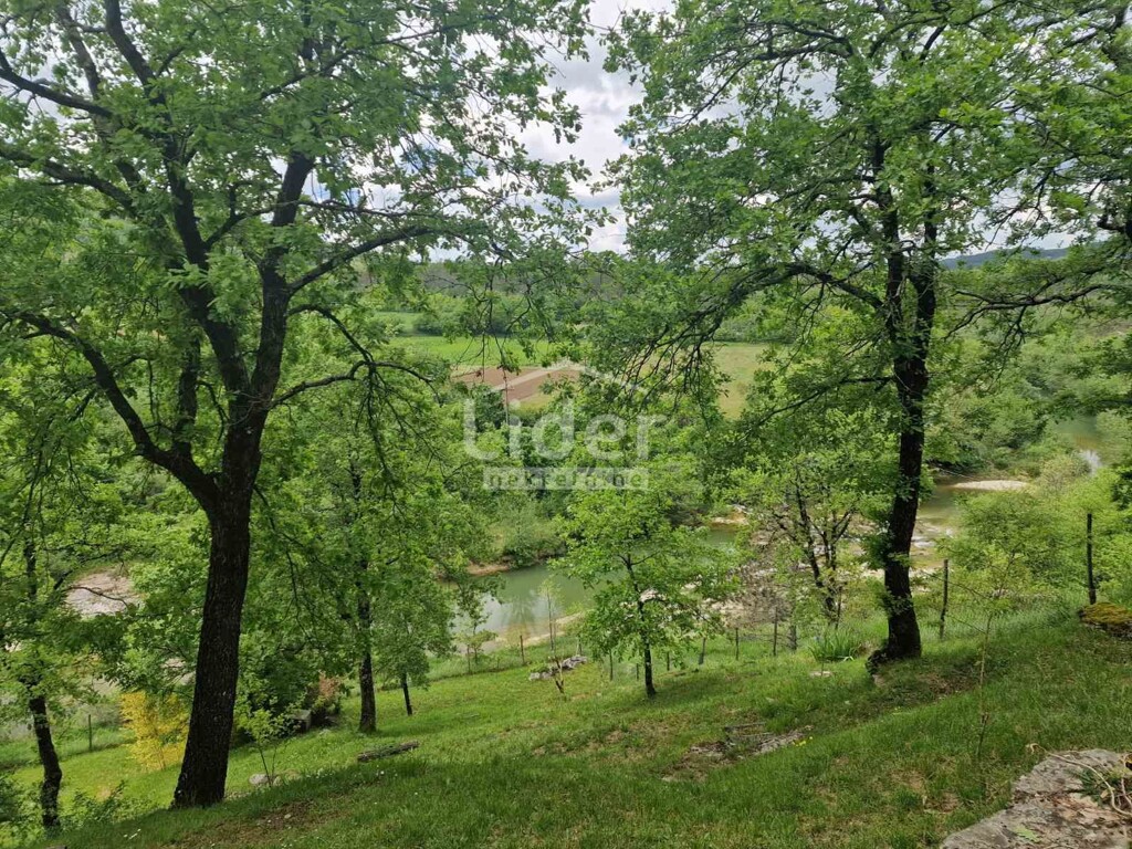 Image 5878197 - 18