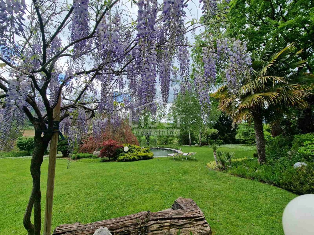 Image 5878197 - 1