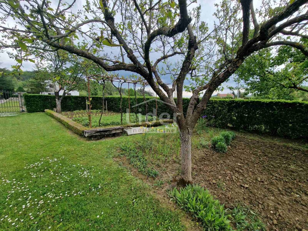 Image 5878197 - 12