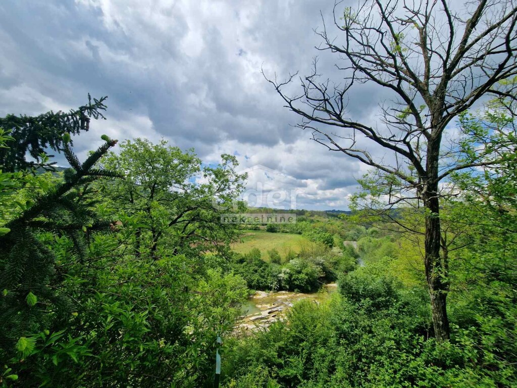 Image 5878197 - 22