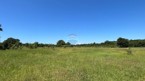 Thumbnail 5878451 - 2