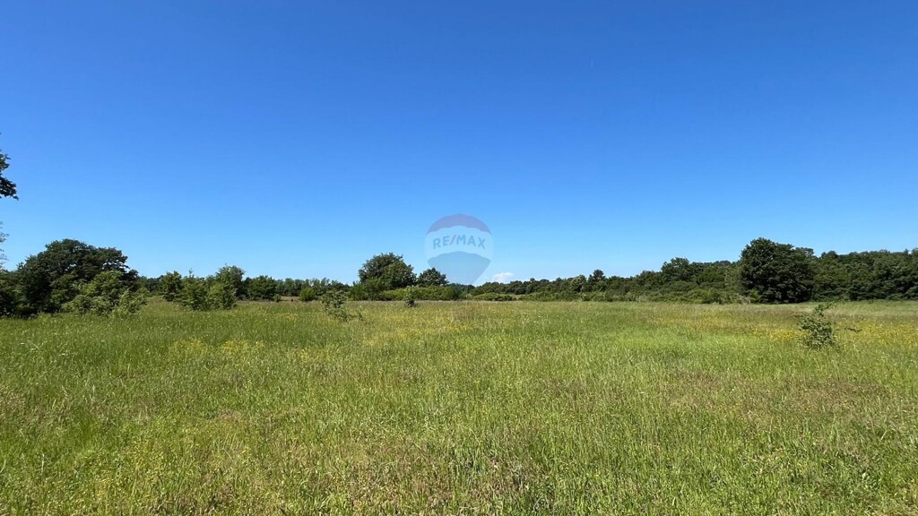 Image 5878451 - 2