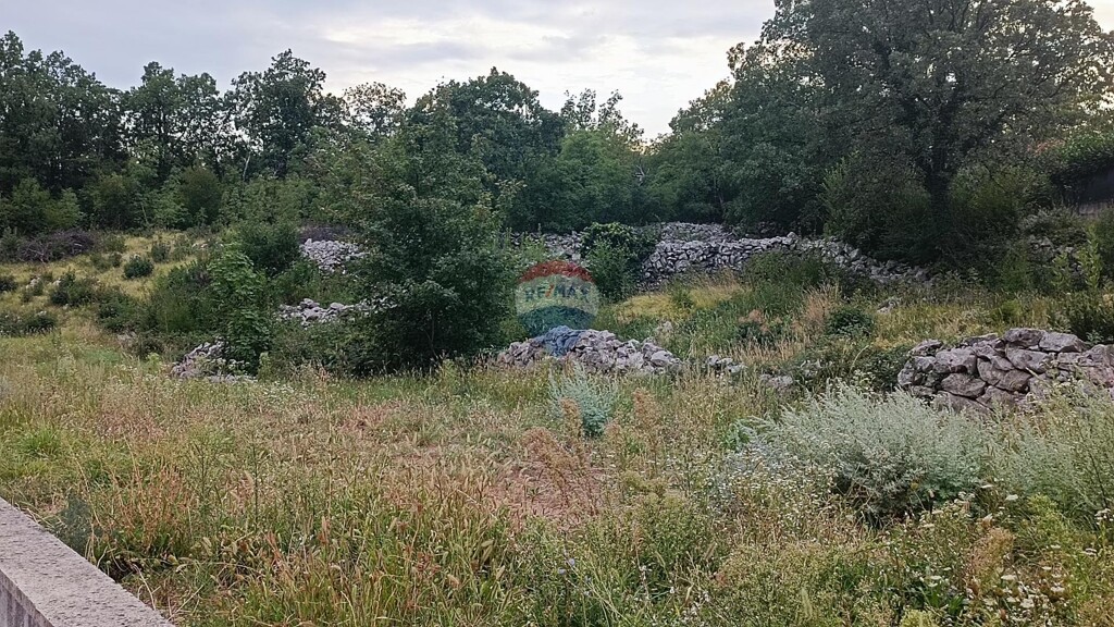 Image 5878456 - 9