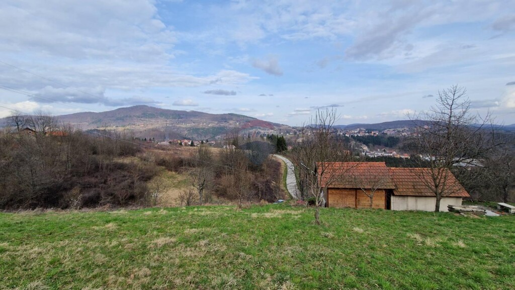 Image 5878458 - 1
