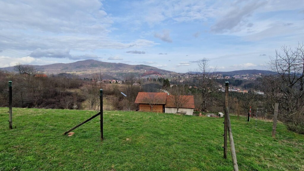 Image 5878458 - 2