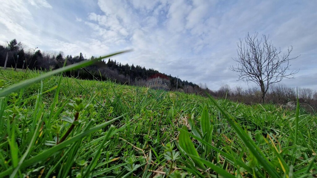 Image 5878458 - 4