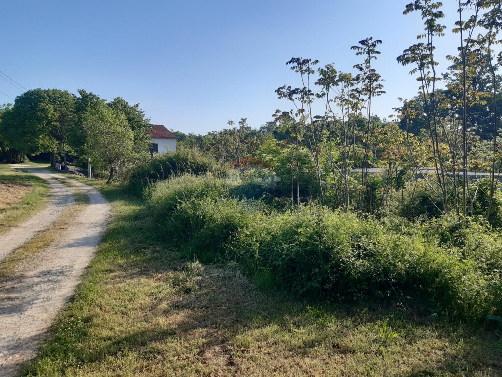 Image 5878469 - 8
