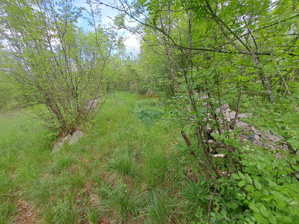 Image 5878470 - 6