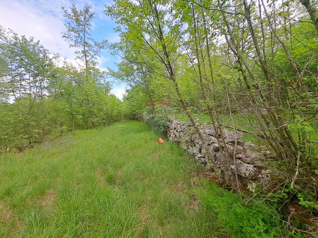 Image 5878470 - 7