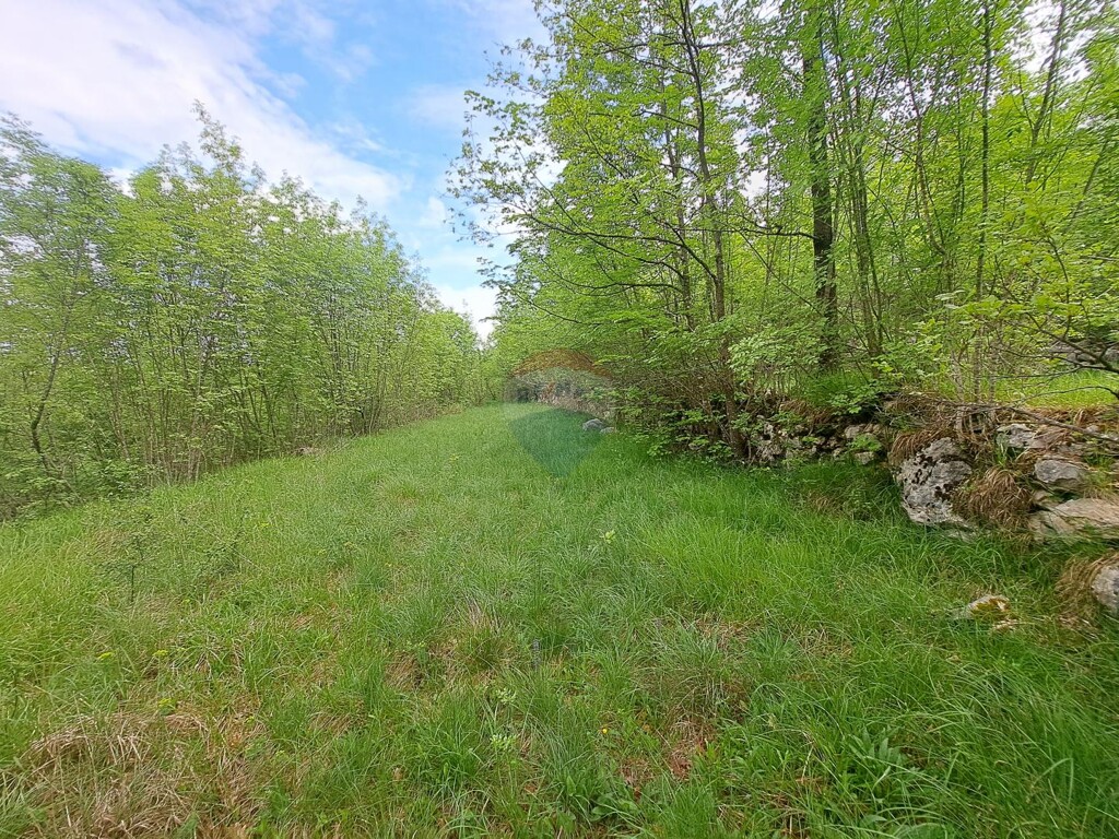 Image 5878470 - 1