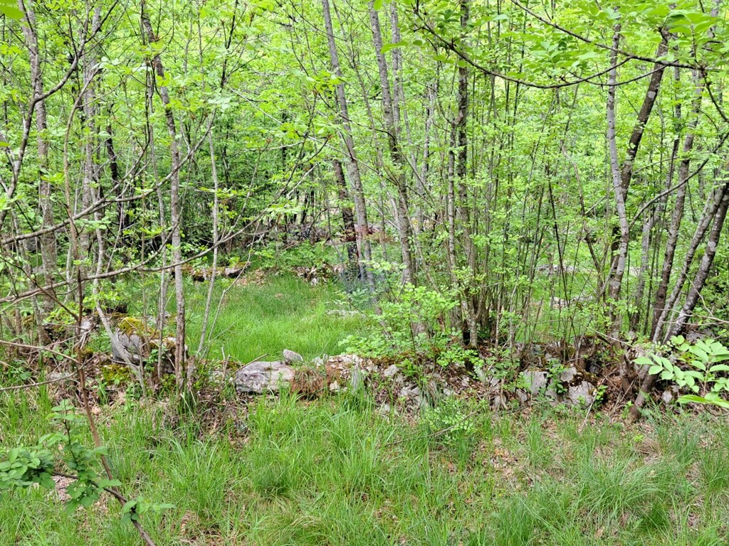 Image 5878470 - 3