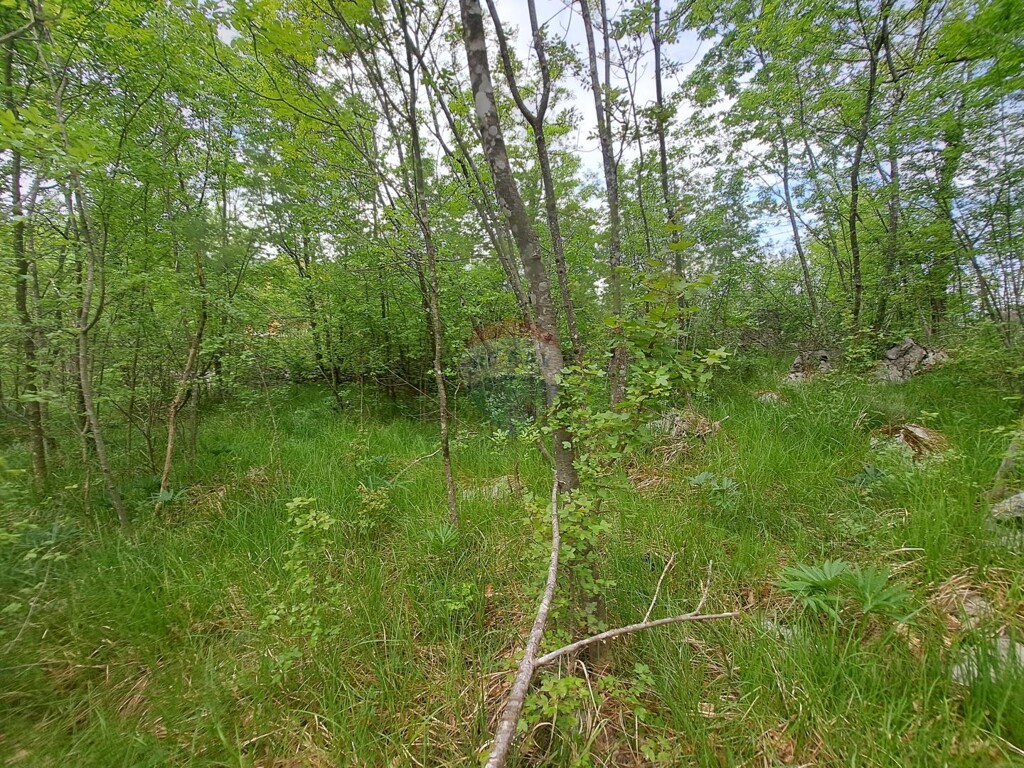 Image 5878470 - 4