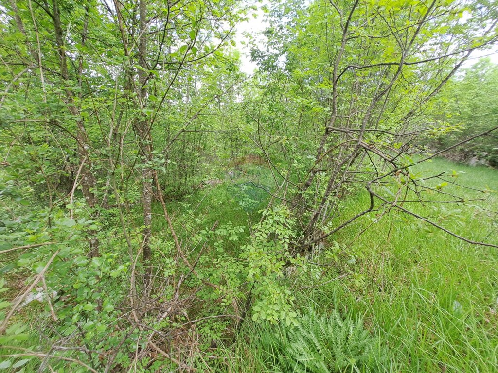 Image 5878470 - 2