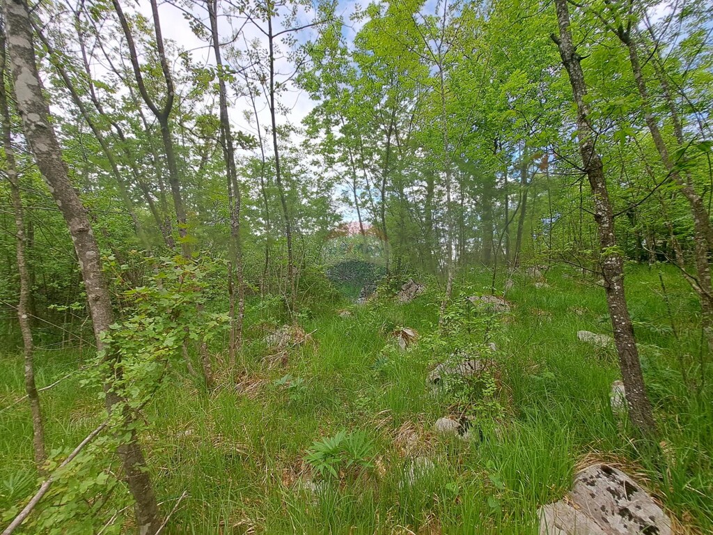 Image 5878470 - 5