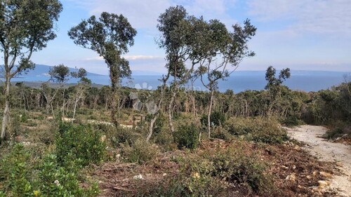 Thumbnail 5879663 - 2