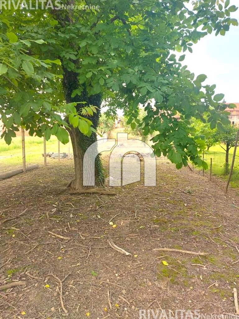 Image 5879686 - 12