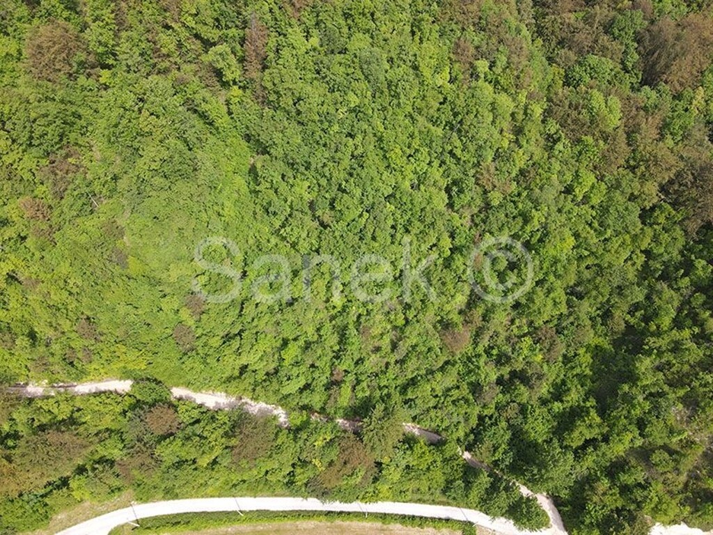 Image 5879737 - 2