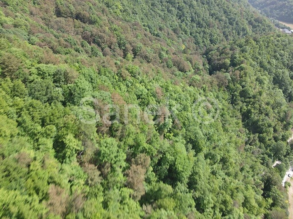 Image 5879737 - 4