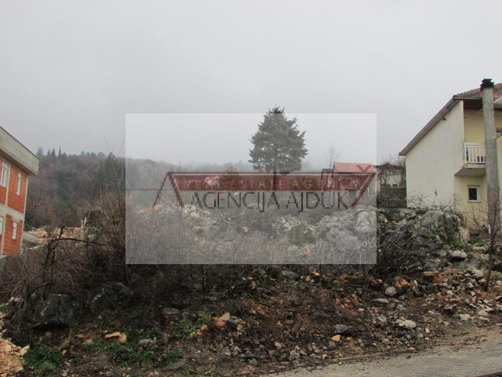 Image 5879772 - 4