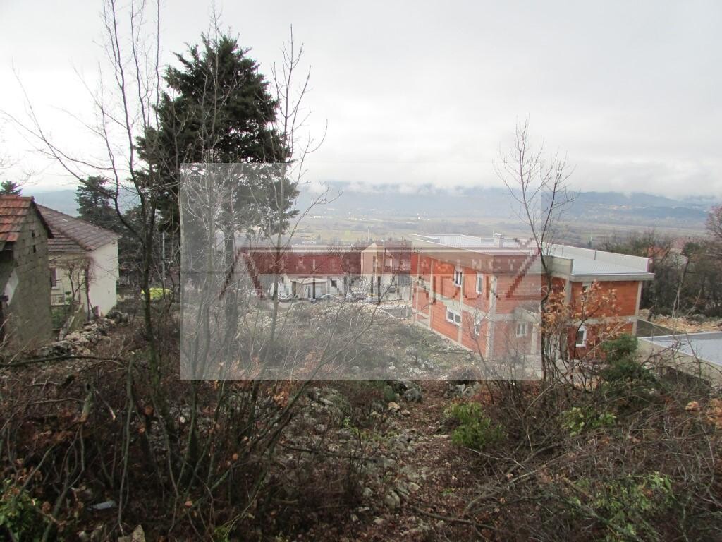 Image 5879772 - 6