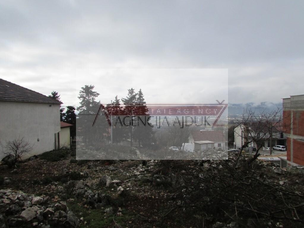 Image 5879772 - 3