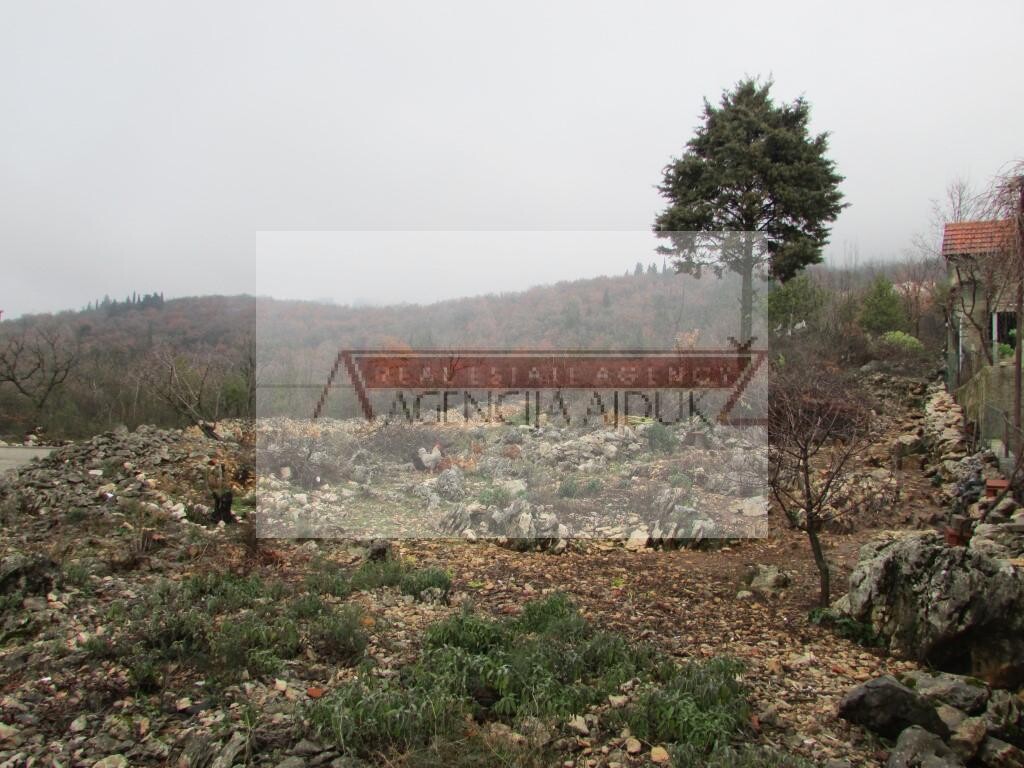 Image 5879772 - 5