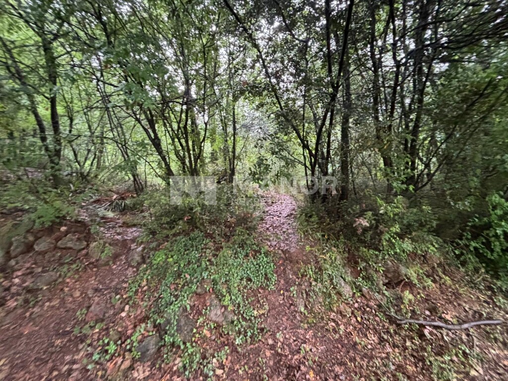 Image 5879865 - 1
