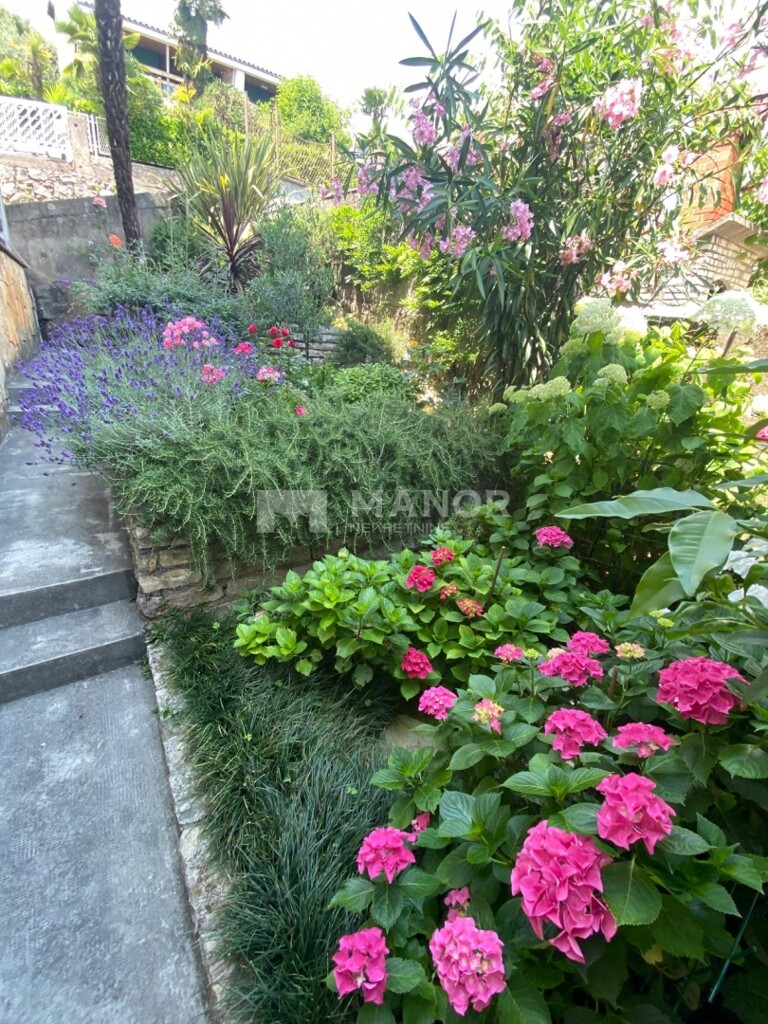 Image 5879869 - 17