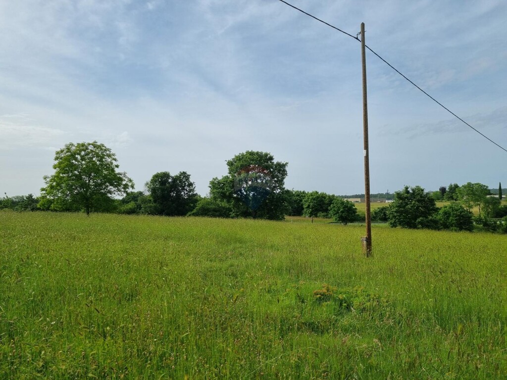 Image 5879891 - 1