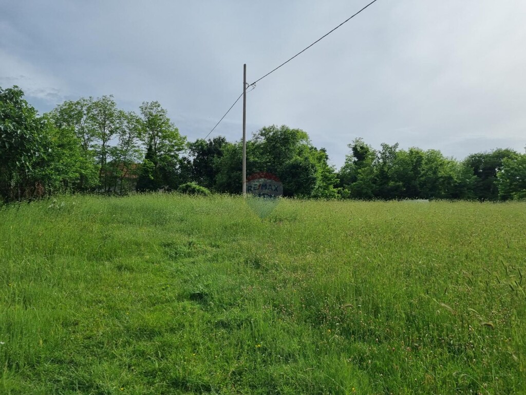 Image 5879891 - 3