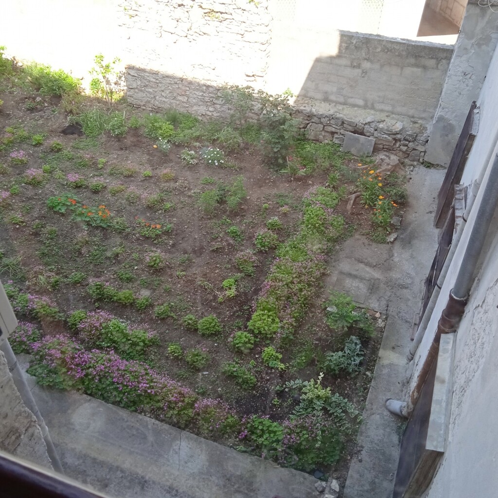 Image 5880156 - 11