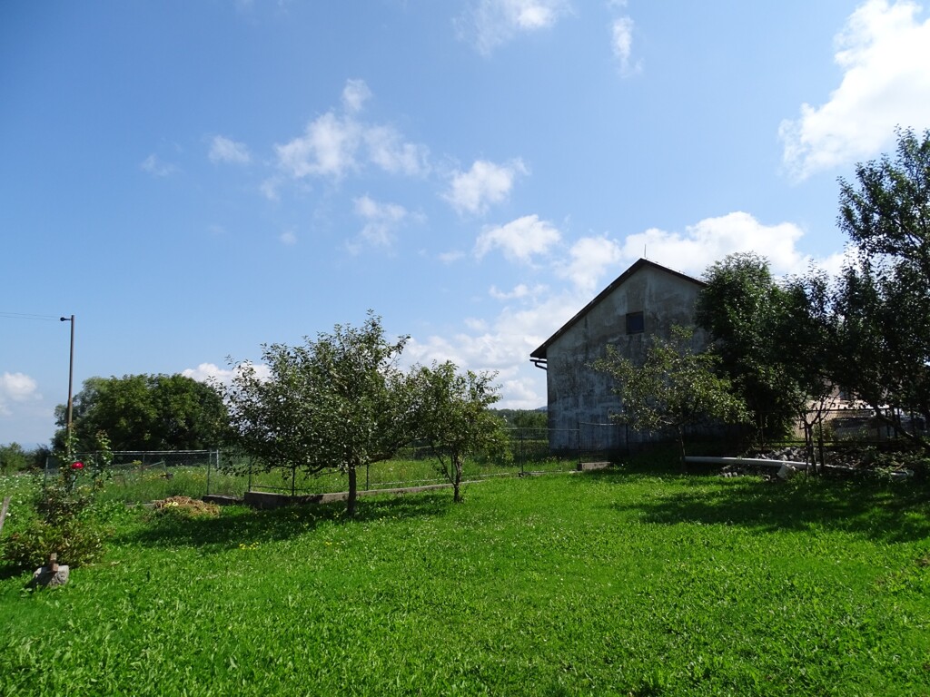 Image 12