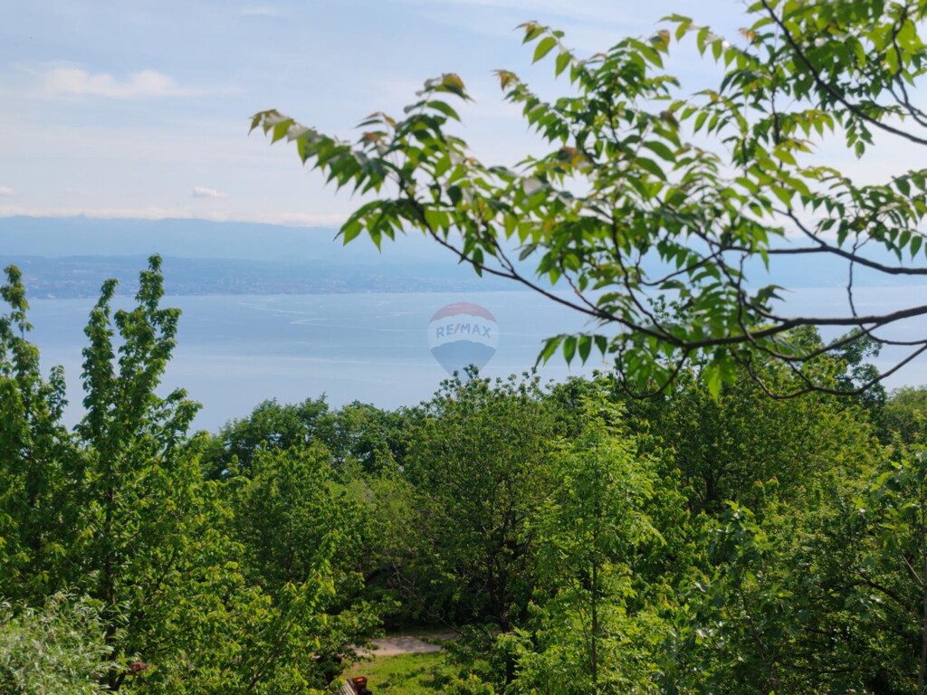 Image 5881157 - 15