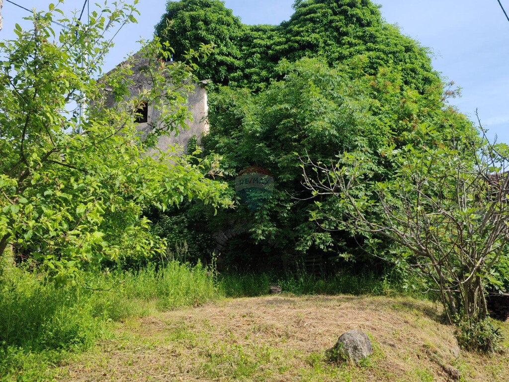 Image 5881157 - 2