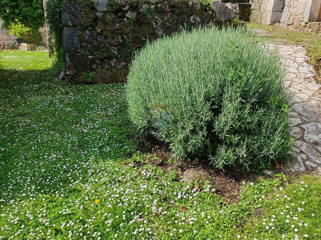 Image 5881157 - 8