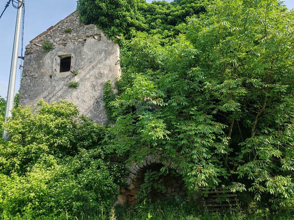 Image 5881157 - 5