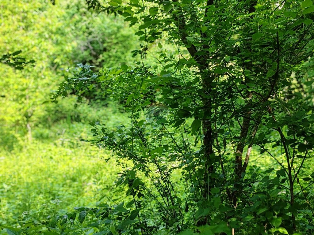 Image 5881157 - 10