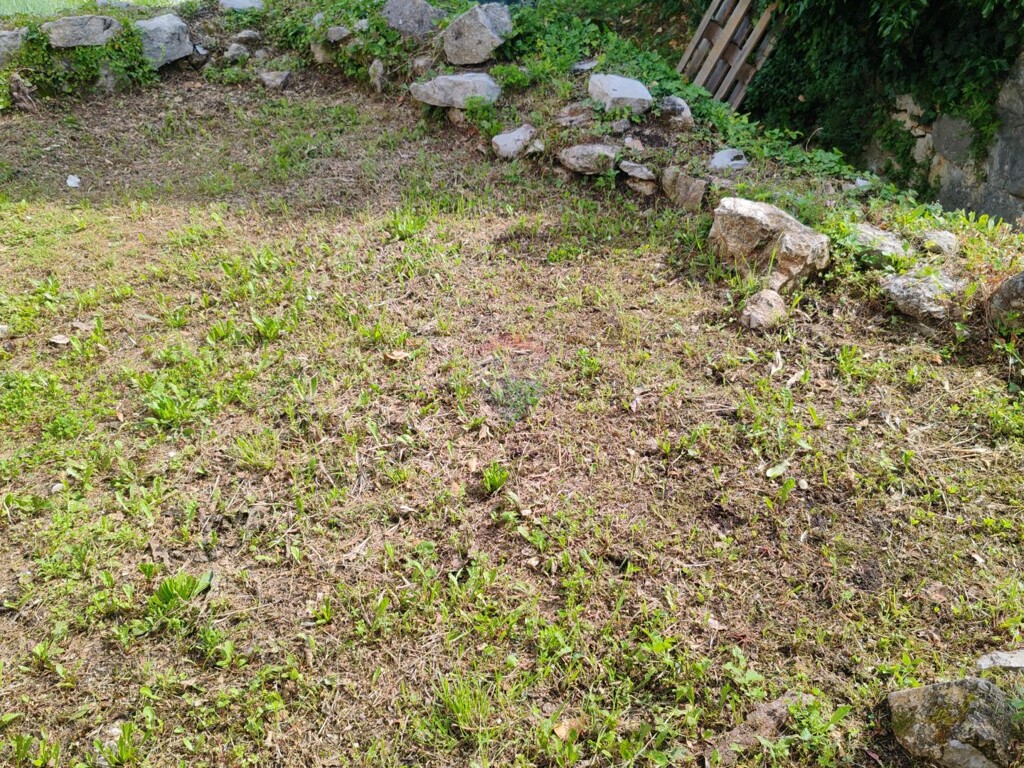 Image 5881157 - 7