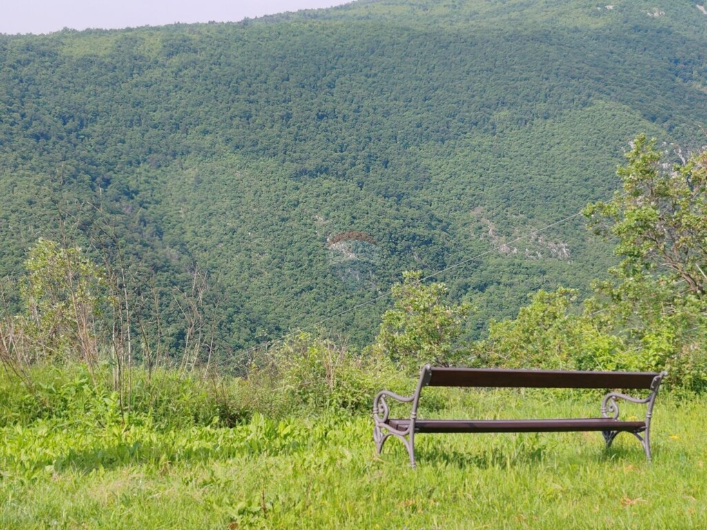 Image 5881157 - 23