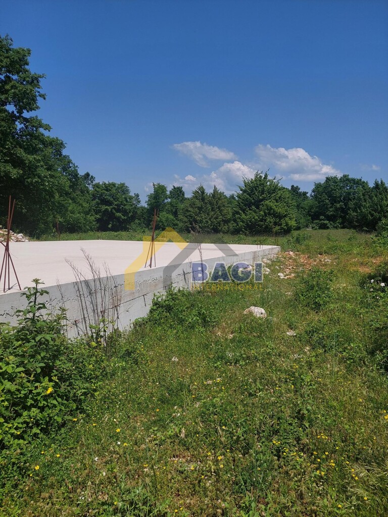 Image 5882274 - 2