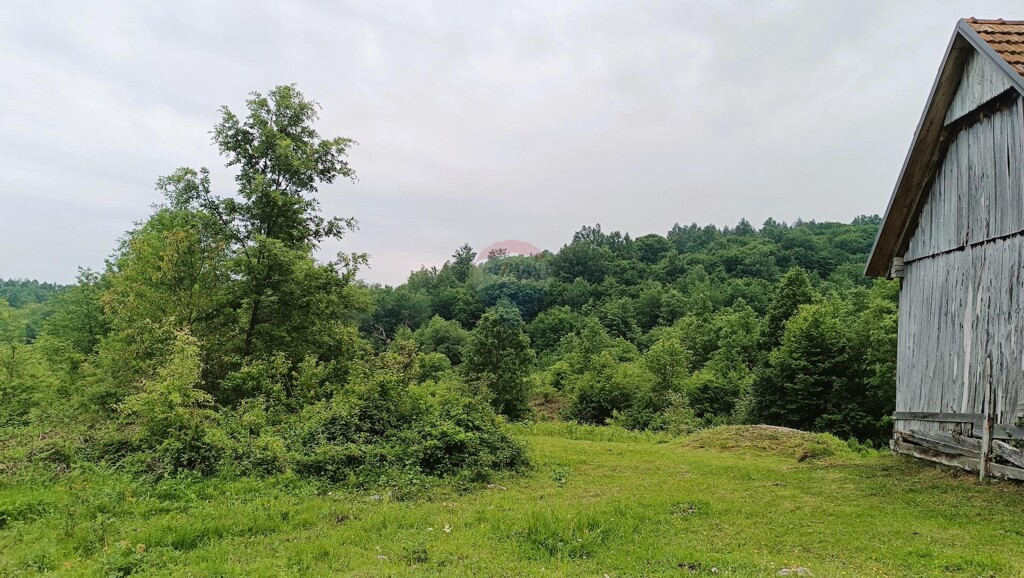Image 5882555 - 8