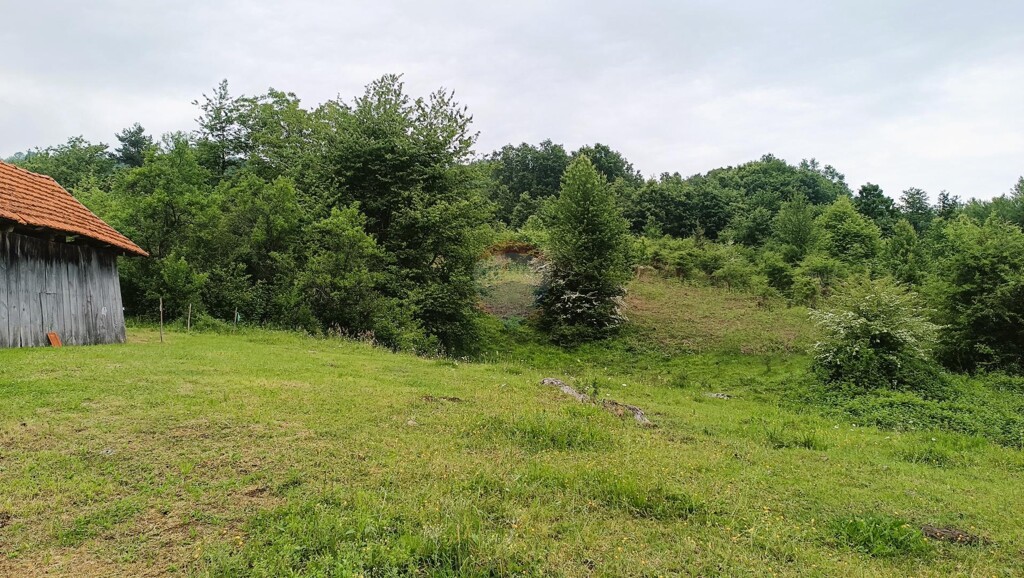 Image 5882555 - 9