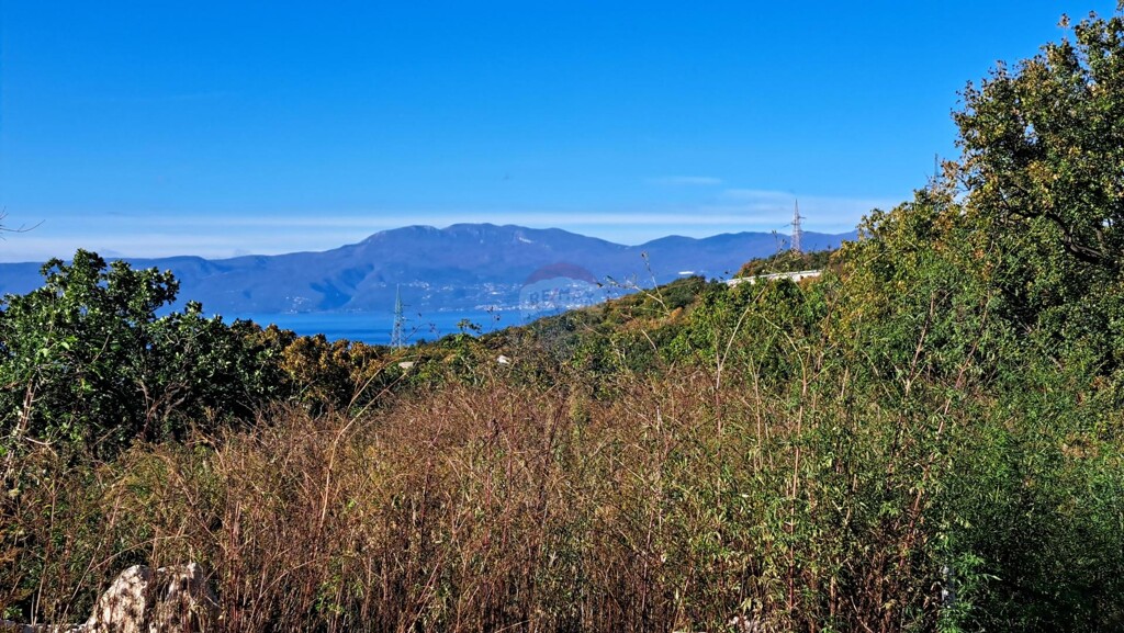 Image 5882556 - 3